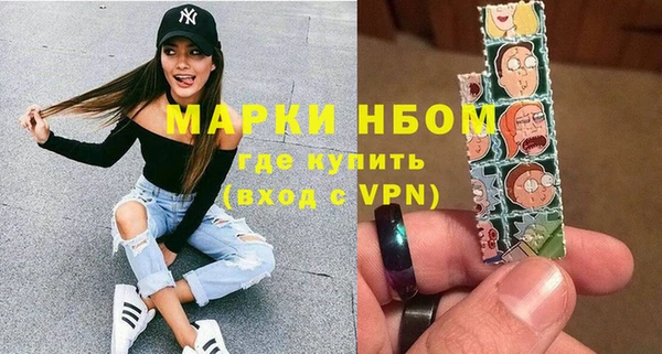 соль ск Вяземский